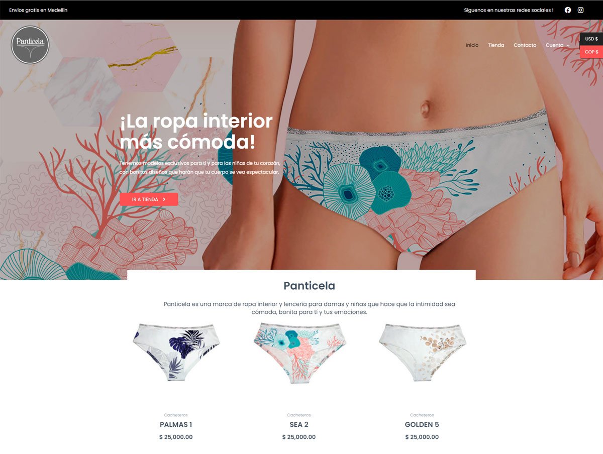Diseño de Páginas web en Texas - Agencia web en Texas