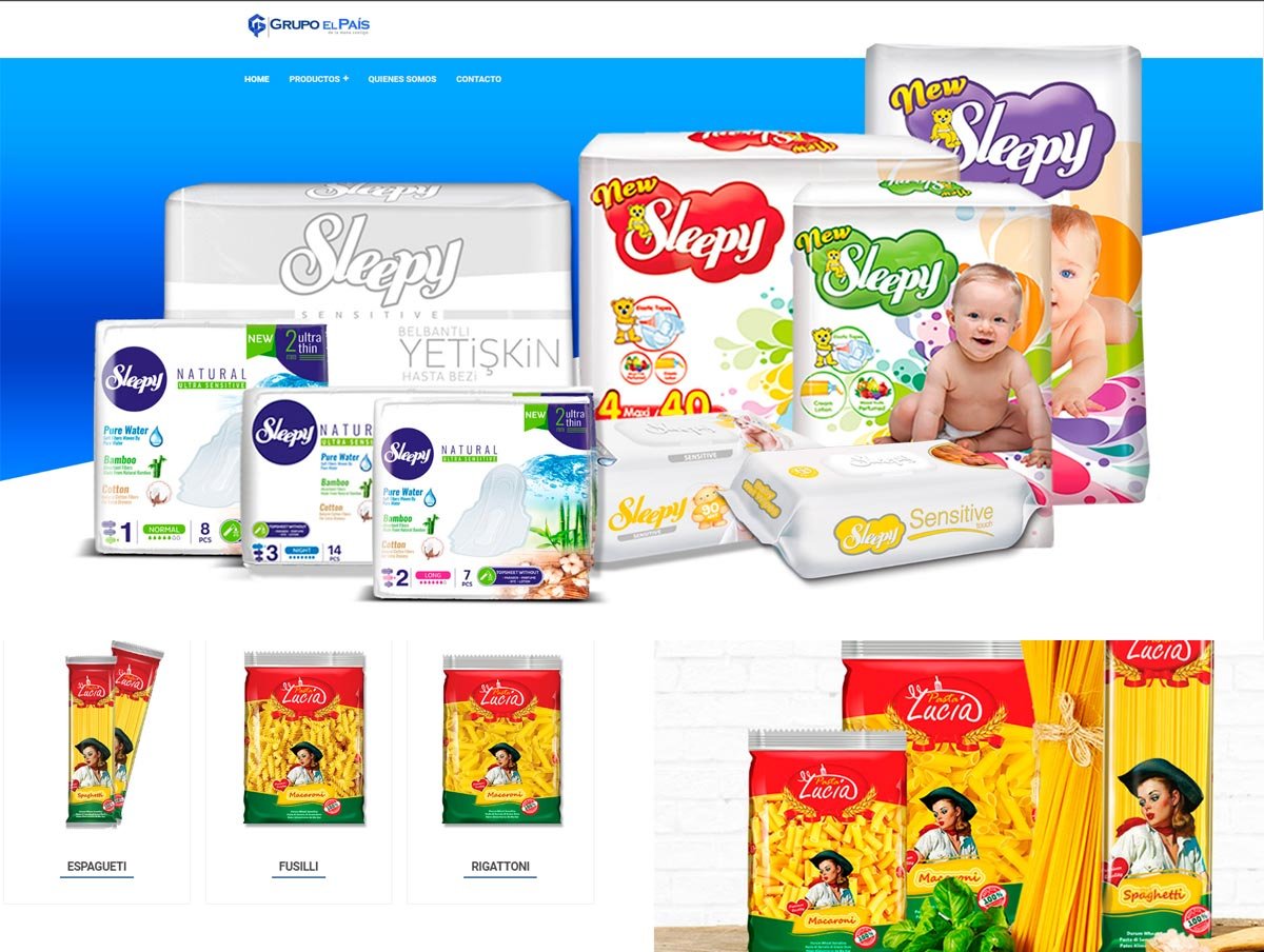 Diseño de Páginas web en Texas - Agencia web en Texas